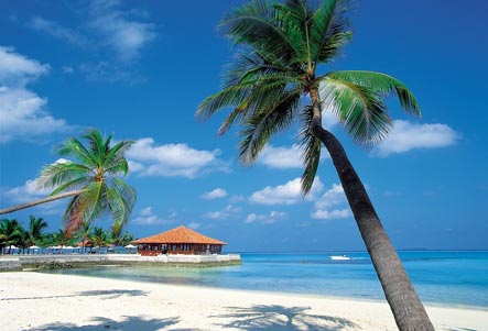 Cruises | Last Minute Cruise | Best.